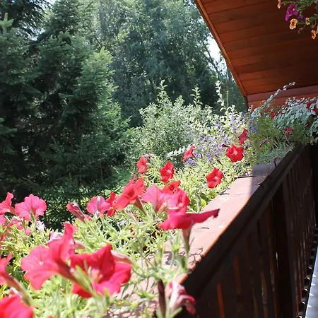 Ubytovanie Hugo Alzbetka Guest house